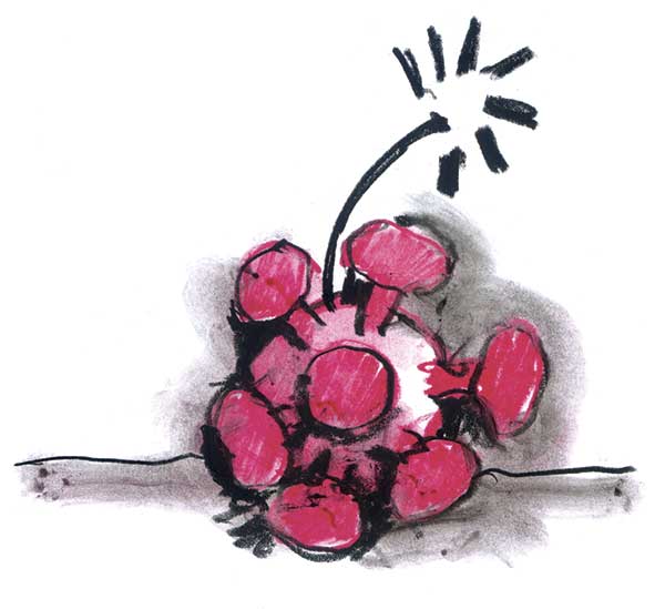 El basurero del programa de gobierno