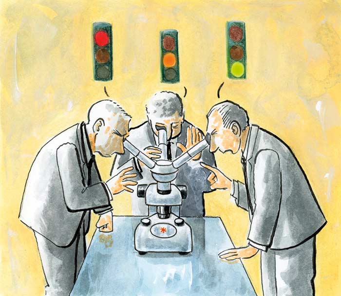 El semáforo rojo, los brasileños y la necedad de Morena