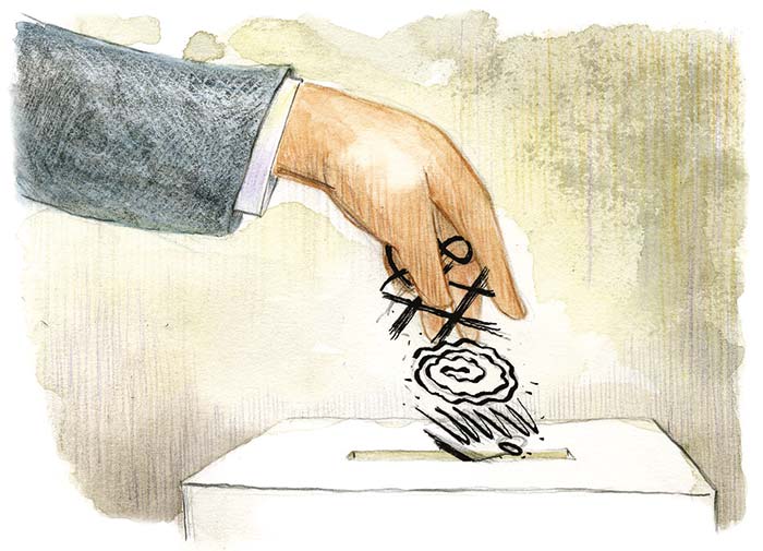 El INE, la OEA y las elecciones de junio