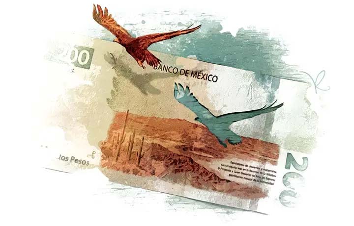 La especulación sobre Citibanamex