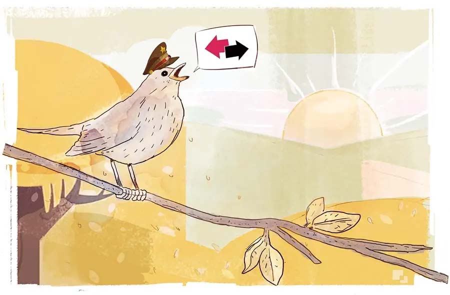 Sobre las ideas falsas que vienen de lejos